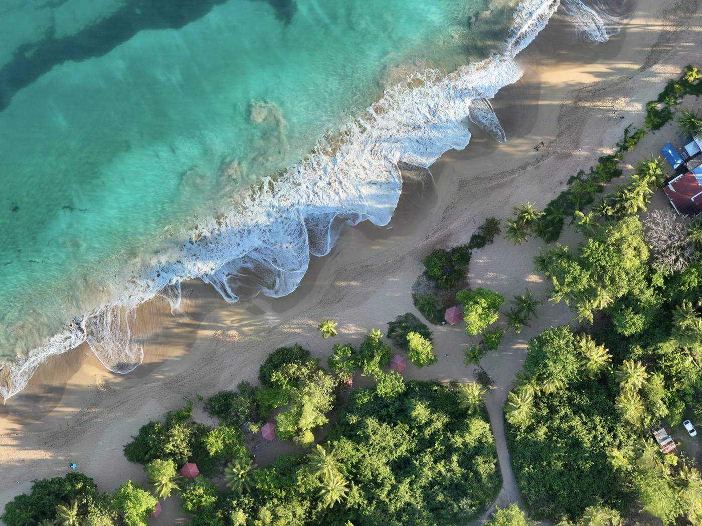 Orthophotographie de plage — suivi du trait de côte