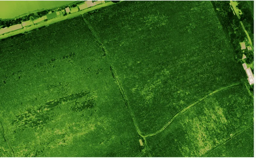 Indice de végétation ajusté au sol (SAVI) CARIGE — même parcelle, Domaine Thieubert (Neisson).