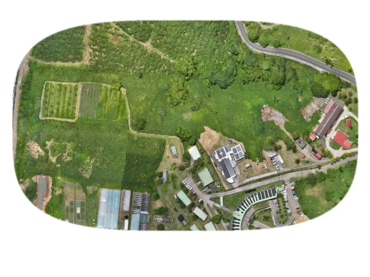 Pseudo-orthophotographie LiDAR d'un domaine agricole sous canopée